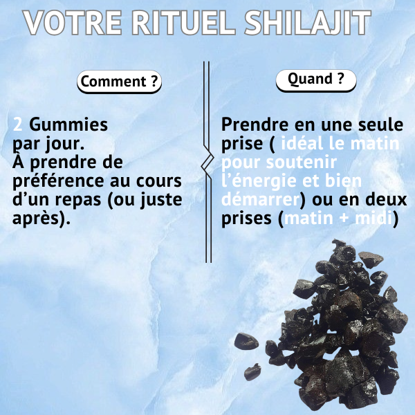Shilajit Gummies | ÉNERGIE & BIEN-ÊTRE | 60 Gummies